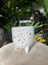 Load image into Gallery viewer, Reid Egg Speckled Pot
