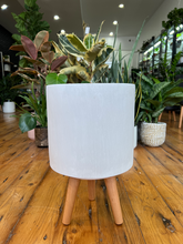 Load image into Gallery viewer, White Deco Design Fibreclay Pot With Legs
