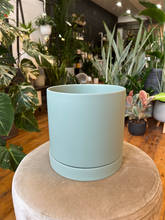 Load image into Gallery viewer, Romeo Pot Collection
