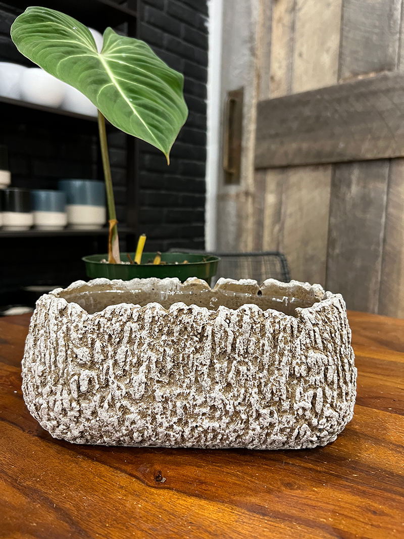 Igneous Coral Box Ceramic