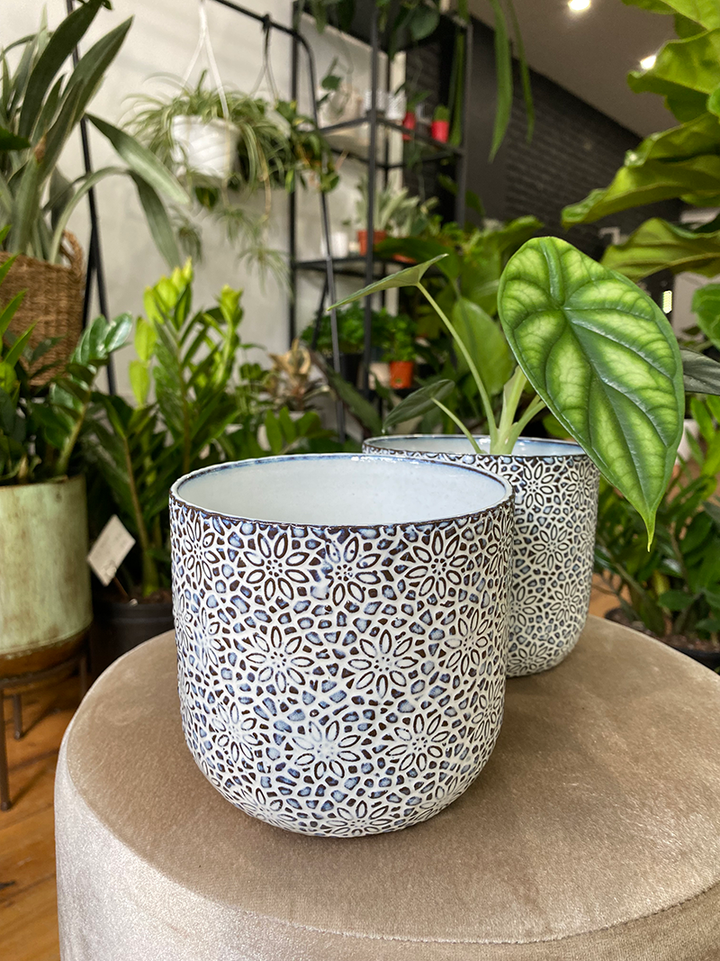 Millie Pot/Vase