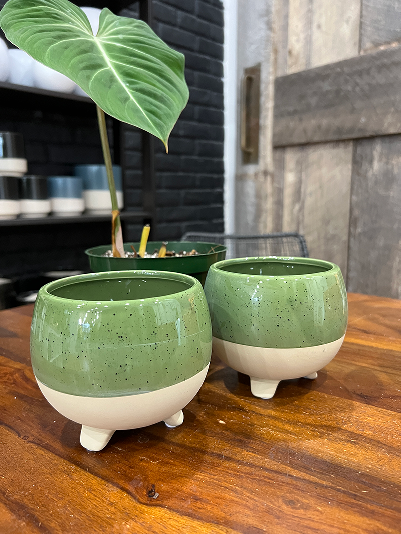 Tropical Ceramic Pot w/ legs - 3.75