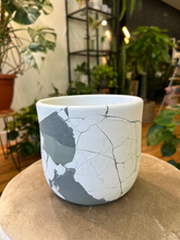 Load image into Gallery viewer, Sunset Cement Planters - New Designs
