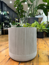 Load image into Gallery viewer, Grey Vertical Cement Pot
