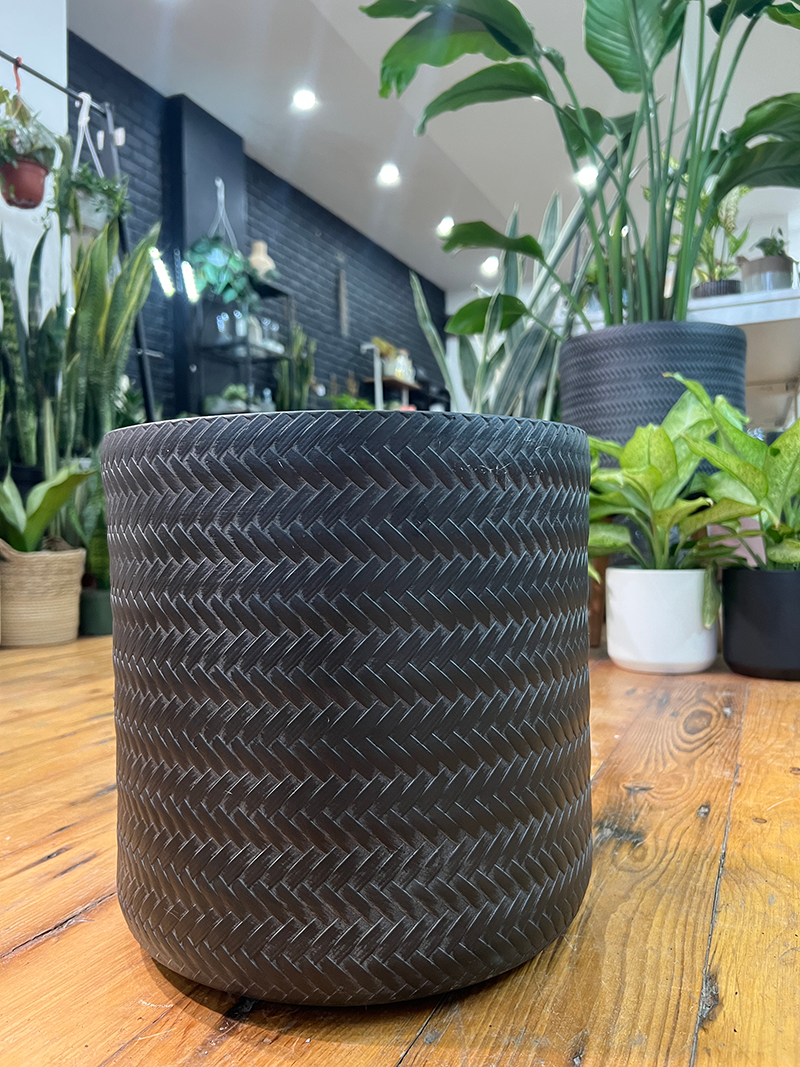 Wash Black Bamboo Design Fiberclay Pot